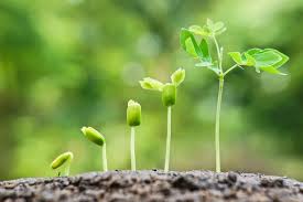 Elohim Who Gives the Increase